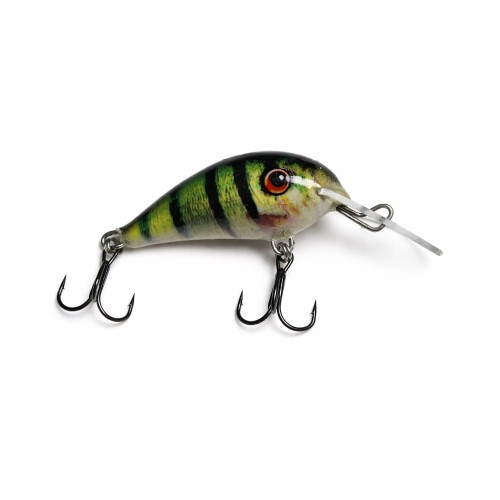 przynęta na klenia