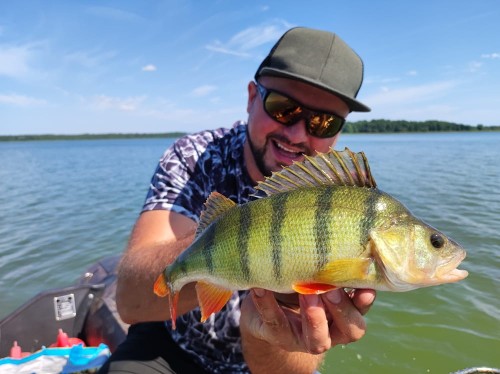 wobler na okonia