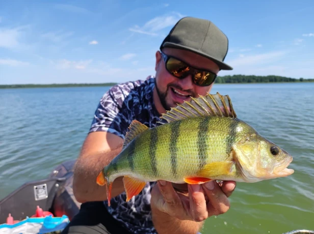 wobler na okonia