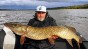 wobler szczupak