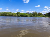 wyprawy wędkarskie na sandacza